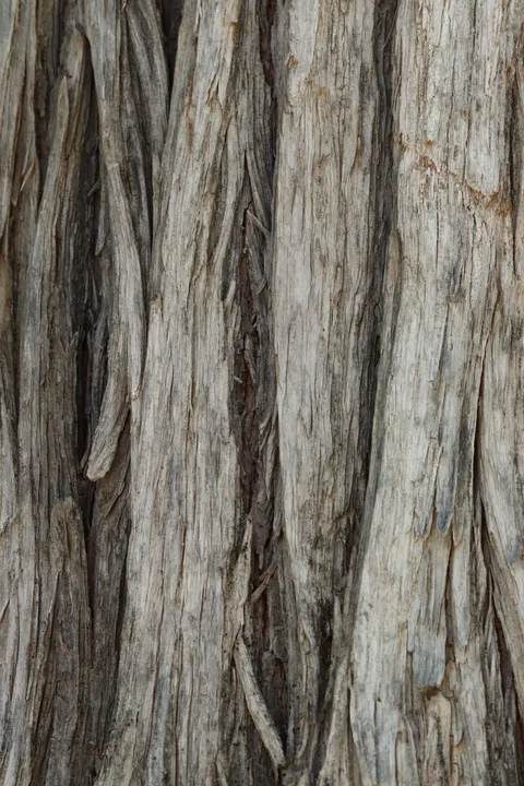 Wood Grain Phone Wallpaper · marble · 1440×2160