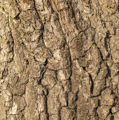 Wood Grain Phone Wallpaper · marble · 1440×1448