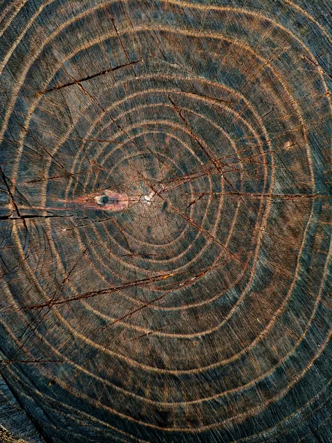 Wood Grain Phone Wallpaper · marble · 1440×1920