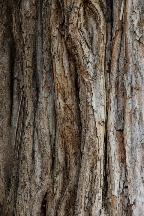 Wood Grain Phone Wallpaper · marble · 1440×2159
