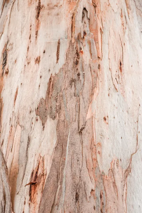 Wood Grain Phone Wallpaper · marble · 1440×2160