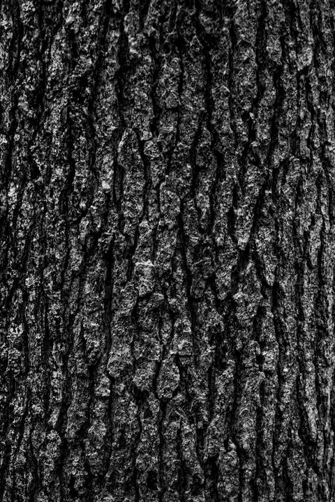 Wood Grain Phone Wallpaper · marble · 1440×2160