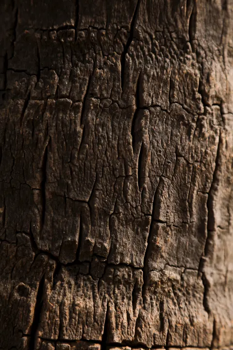 Wood Grain Phone Wallpaper · marble · 1440×2160