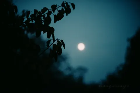 Full Moon 4K Wallpaper · space · 3840×2563