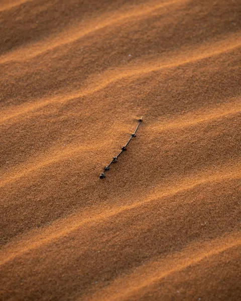 Sand Ripple Phone Wallpaper · marble · 1440×1800