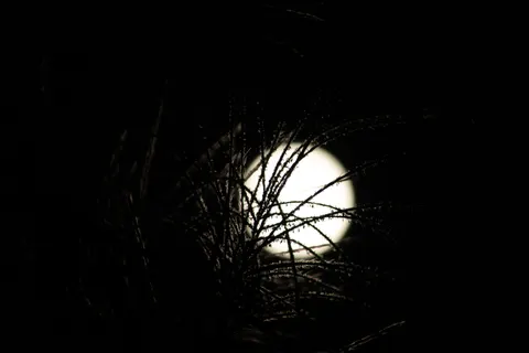 Full Moon 4K Wallpaper · space · 3840×2560