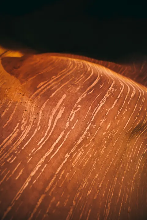 Liquid Swirl Phone Wallpaper · marble · 1440×2160