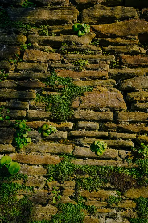 Stone Wall Phone Wallpaper · marble · 1440×2160