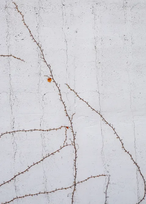 Stone Wall Phone Wallpaper · marble · 1440×2010