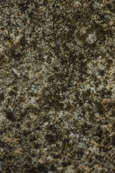 Stone Wall Phone Wallpaper · marble · 1440×2160
