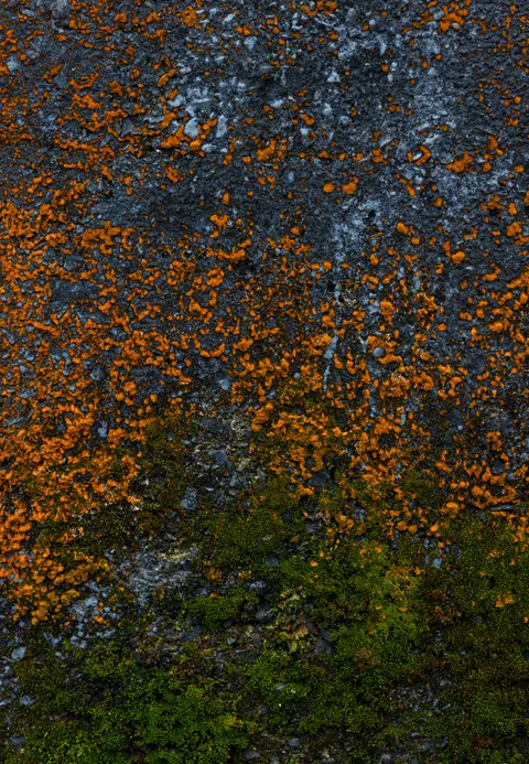 Stone Wall Phone Wallpaper · marble · 1440×2079