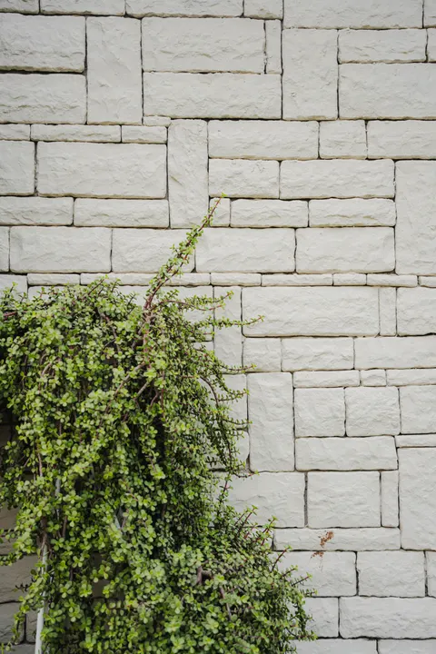 Stone Wall Phone Wallpaper · marble · 1440×2160
