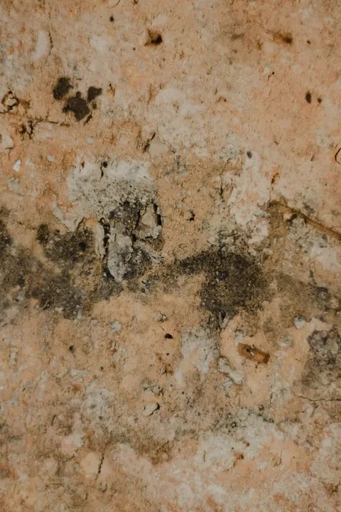 Stone Wall Phone Wallpaper · marble · 1440×2160