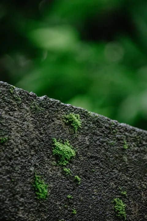Stone Wall Phone Wallpaper · marble · 1440×2160