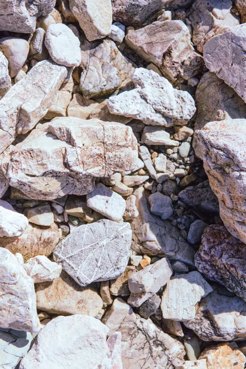 White Marble Phone Wallpaper · marble · 1440×2158