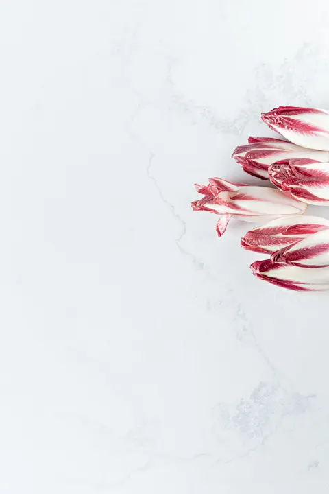 White Marble Phone Wallpaper · marble · 1440×2160