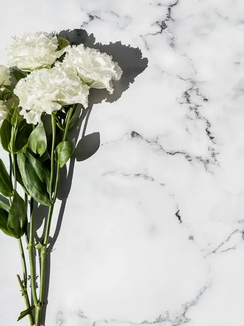 White Marble Phone Wallpaper · marble · 1440×1920