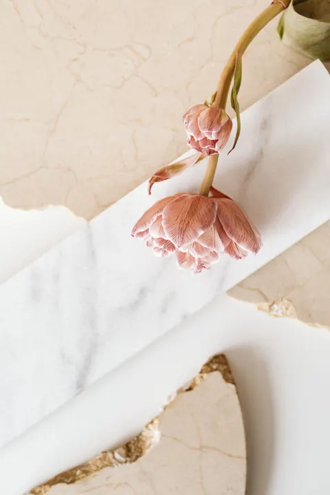 White Marble Phone Wallpaper · marble · 1440×2160
