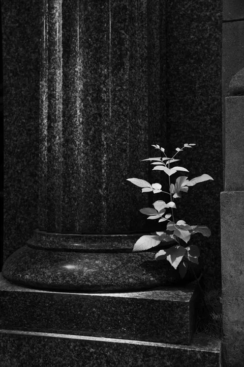 Black Marble Phone Wallpaper · marble · 1440×2160