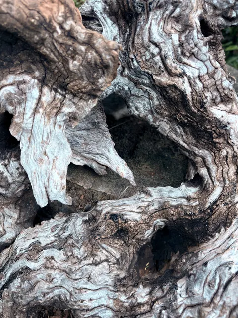 Wood Grain Phone Wallpaper · marble · 1440×1920