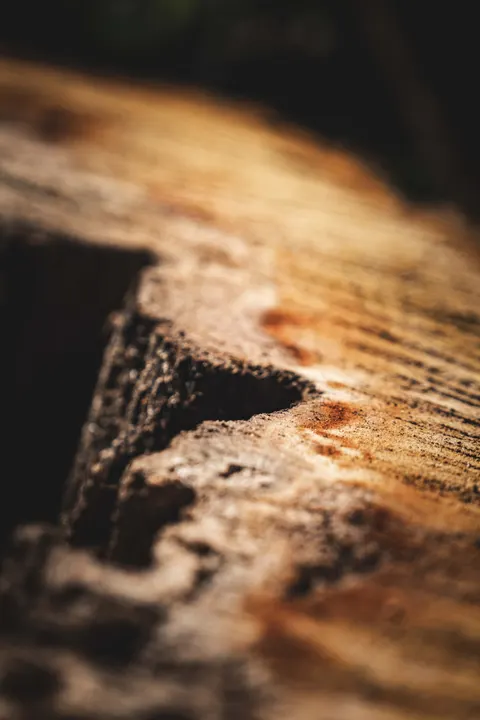 Wood Grain Phone Wallpaper · marble · 1440×2160