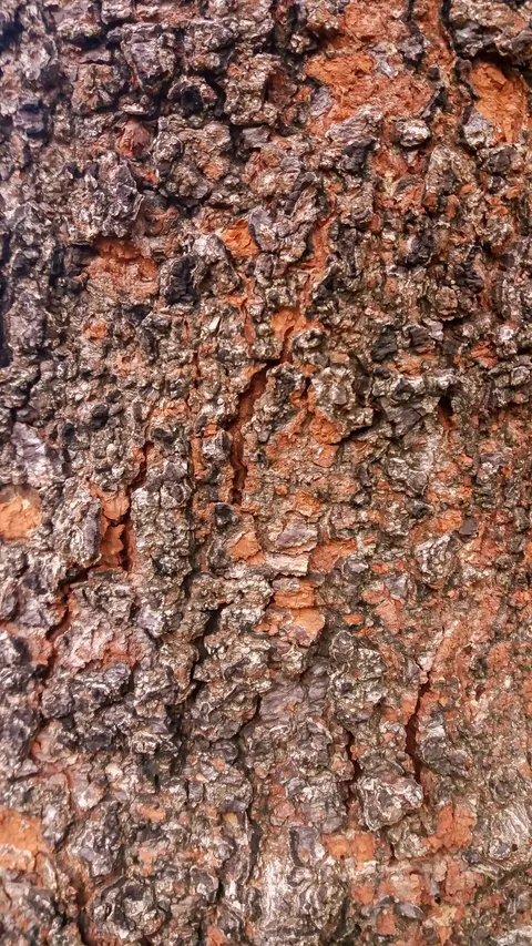 Wood Grain Phone Wallpaper · marble · 1440×2560