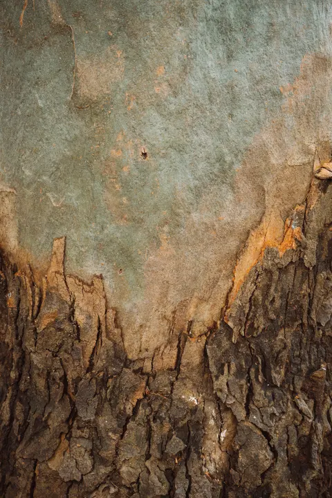 Wood Grain Phone Wallpaper · marble · 1440×2160