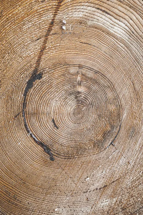 Wood Grain Phone Wallpaper · marble · 1440×2160