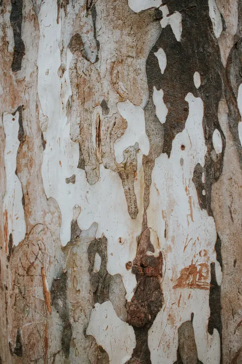 Wood Grain Phone Wallpaper · marble · 1440×2160