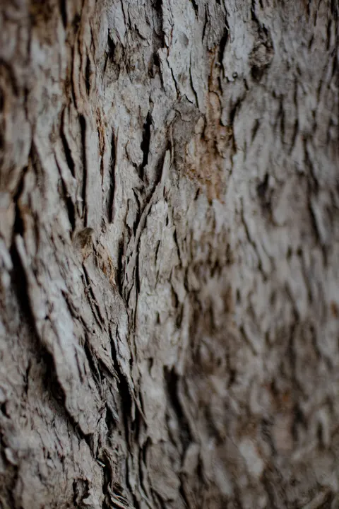 Wood Grain Phone Wallpaper · marble · 1440×2160
