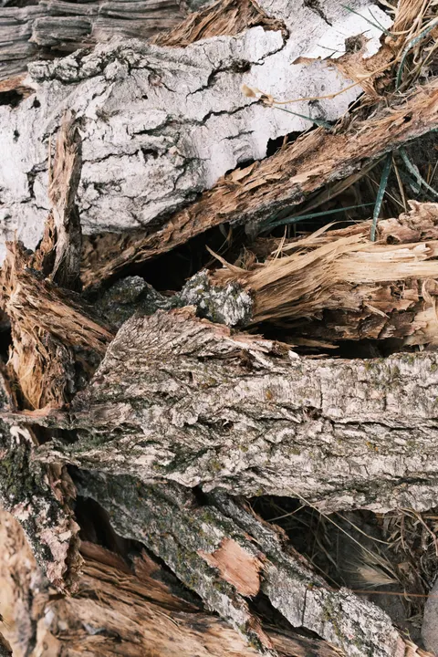 Wood Grain Phone Wallpaper · marble · 1440×2160