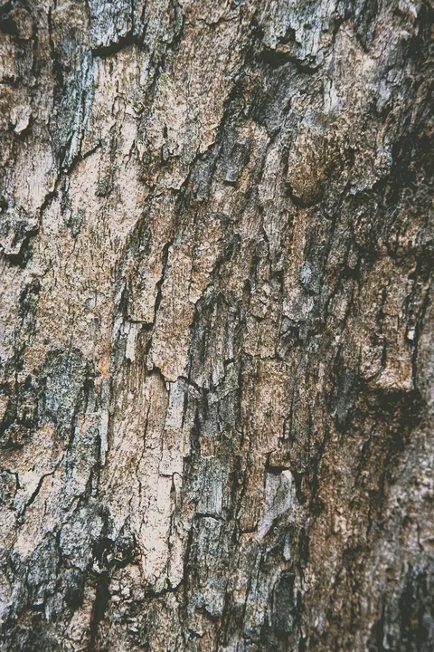 Wood Grain Phone Wallpaper · marble · 1440×2160