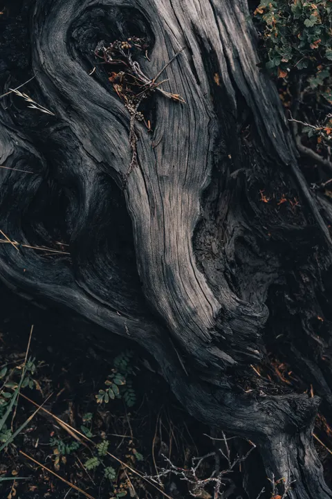 Wood Grain Phone Wallpaper · marble · 1440×2164