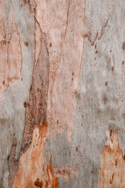 Wood Grain Phone Wallpaper · marble · 1440×2160