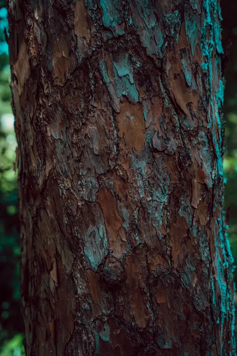 Wood Grain Phone Wallpaper · marble · 1440×2160