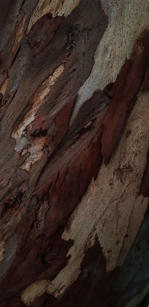 Wood Grain Phone Wallpaper · marble · 1440×2964