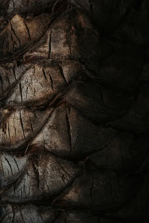 Wood Grain Phone Wallpaper · marble · 1440×2160