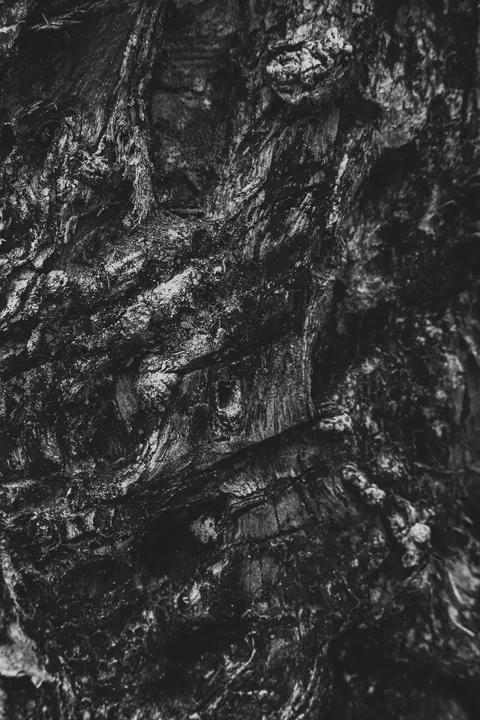 Wood Grain Phone Wallpaper · marble · 1440×2160