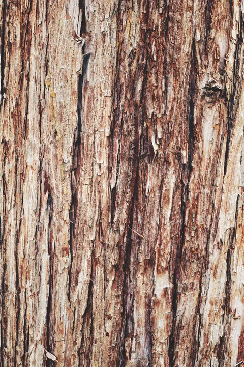 Wood Grain Phone Wallpaper · marble · 1440×2164
