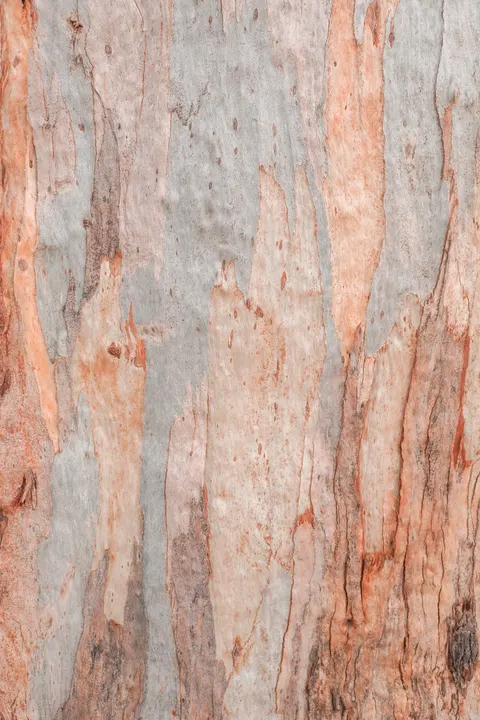 Wood Grain Phone Wallpaper · marble · 1440×2160
