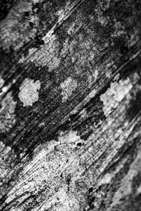 Wood Grain Phone Wallpaper · marble · 1440×2160