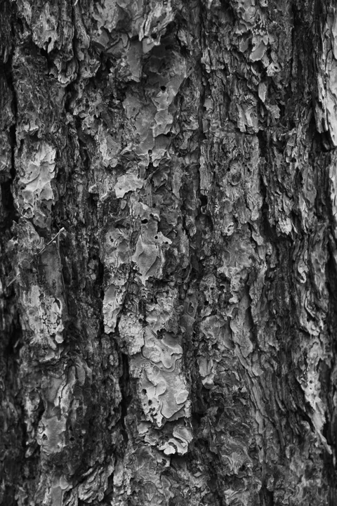 Wood Grain Phone Wallpaper · marble · 1440×2160