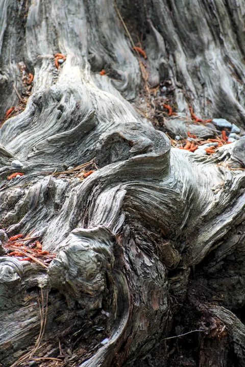 Wood Grain Phone Wallpaper · marble · 1440×2157