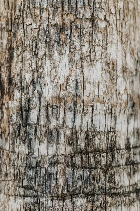Wood Grain Phone Wallpaper · marble · 1440×2157