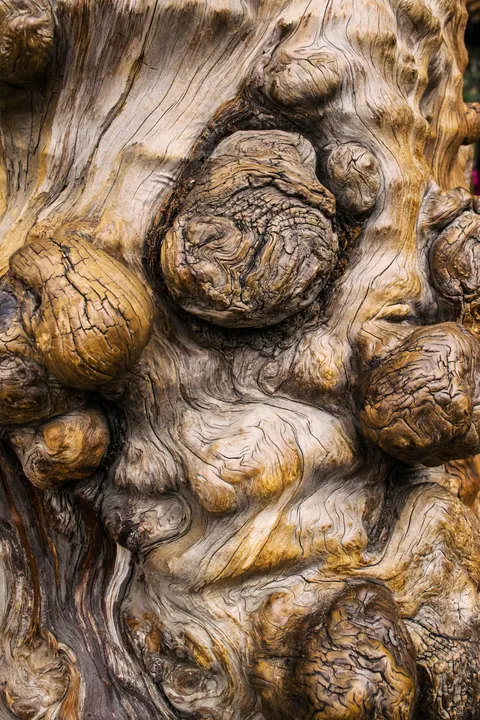 Wood Grain Phone Wallpaper · marble · 1440×2160