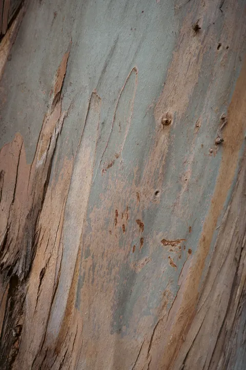 Wood Grain Phone Wallpaper · marble · 1440×2160