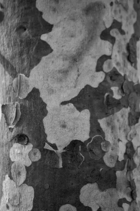 Wood Grain Phone Wallpaper · marble · 1440×2166