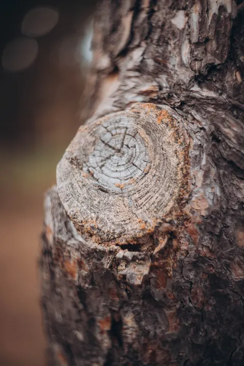 Wood Grain Phone Wallpaper · marble · 1440×2160
