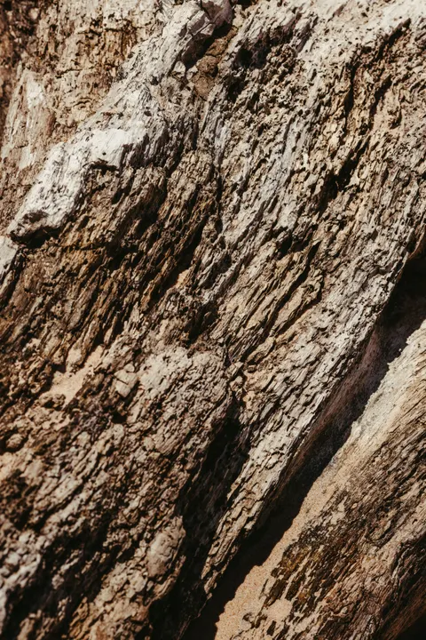 Wood Grain Phone Wallpaper · marble · 1440×2159