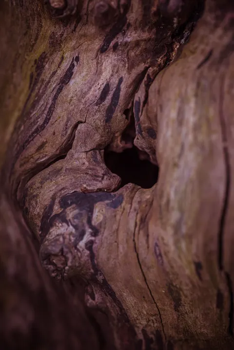 Wood Grain Phone Wallpaper · marble · 1440×2157